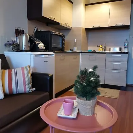 Deluxe Apartman U Hotelu, Blizu Gondole Διαμέρισμα Μπάνσκο