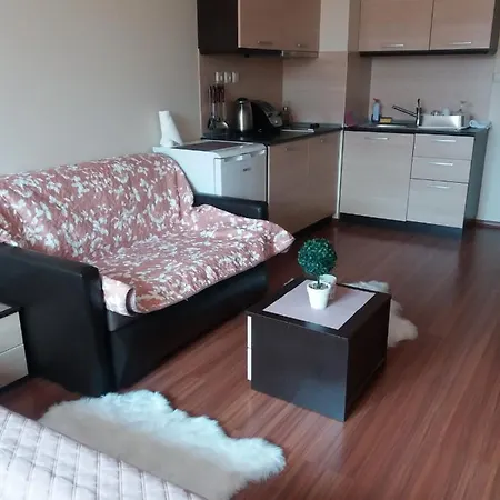 Deluxe Apartman U Hotelu, Blizu Gondole Διαμέρισμα *